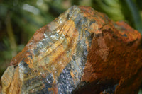 Natural Golden Blue Tigers Eye Specimens  x 2 From Prieska, South Africa - TopRock