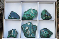 Polished Malachite Free Forms With Stunning Flower & Banding Patterns x 6 From Congo - TopRock