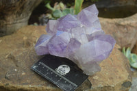 Natural Jacaranda Amethyst Clusters x 2 From Mumbwa, Zambia - TopRock