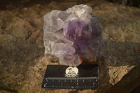 Natural Jacaranda Amethyst Clusters x 2 From Zambia