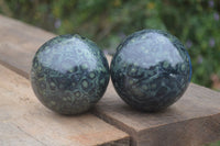 Polished Stromatolite / Kambamba Jasper Spheres  x 2 From Madagascar - Toprock Gemstones and Minerals 