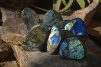 Polished Labradorite Standing Free Forms  x 6 From Madagascar