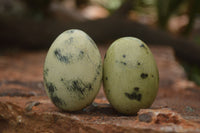 Polished Leopard stone Eggs x 12 From Zimbabwe - TopRock