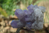 Natural Jacaranda Amethyst Clusters x 2 From Mumbwa, Zambia - TopRock