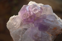 Natural Jacaranda Amethyst Clusters x 2 From Zambia