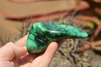 Polished Malachite Free Forms With Stunning Flower & Banding Patterns x 6 From Congo - TopRock