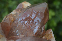 Natural Red Hematoid Quartz Specimen x 1 From Karoi, Zimbabwe