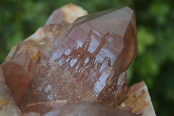 Natural Red Hematoid Quartz Specimen x 1 From Karoi, Zimbabwe