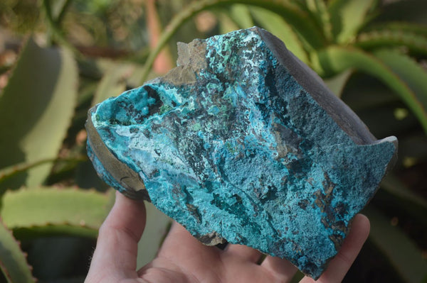 Natural Silica Chrysocolla On Dolomite Matrix Specimens x 2 From Congo