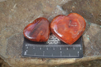 Polished Carnelian Agate Hearts  x 12 From Madagascar