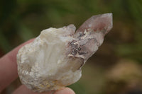 Natural Red Hematoid Quartz Specimens x 12 From Karoi, Zimbabwe - TopRock