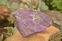 Natural Selected Rough Purpurite Specimens  x 7 From Uis, Namibia - TopRock