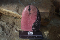 Polished Pink Rhodonite Standing Free Forms x 3 From Madagascar