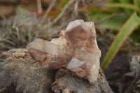 Natural Red Hematite Phantom Quartz Clusters  x 12 From Karoi, Zimbabwe - TopRock