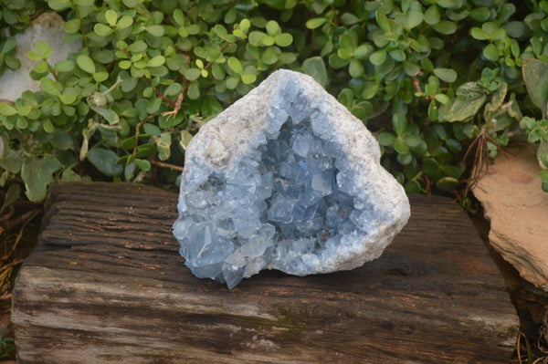 Natural Large Blue Celestite Geode Specimen  x 1 From Sakoany, Madagascar