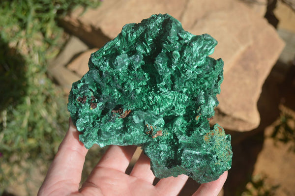 Natural Chatoyant Silky Malachite Specimens  x 2 From Kasompe, Congo