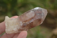 Natural Red Hematoid Quartz Specimens x 12 From Karoi, Zimbabwe - TopRock