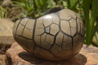 Polished Septerye Sauvage "Dragons Egg" x 1 From Mahajanga, Madagascar - TopRock