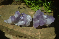 Natural Jacaranda Amethyst Clusters x 2 From Mumbwa, Zambia - TopRock