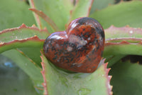 Polished Carnelian Agate Hearts  x 12 From Madagascar