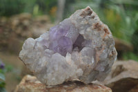 Natural Jacaranda Amethyst Cluster x 1 From Mumbwa, Zambia - TopRock