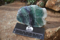 Polished Watermelon Fluorite Standing Slabs  x 6 From Uis, Namibia