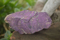 Natural Selected Purpurite Cobbed Specimens  x 6 From Namibia - TopRock