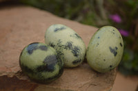 Polished Leopard stone Eggs x 12 From Zimbabwe - TopRock