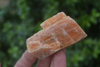 Natural New Sunset Orange Calcite Specimens  x 24 From Spitzkop, Namibia