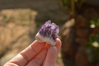 Natural Deep Mini Jacaranda Purple Amethyst Clusters  x 45 From Zambia - TopRock