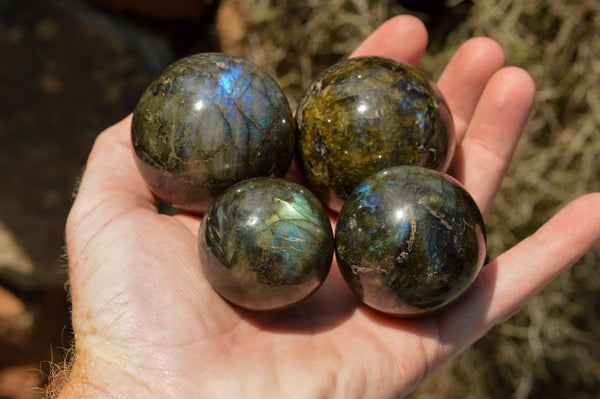 Polished Labradorite Spheres With Nice Subtle Flash x 7 From Tulear, Madagascar - TopRock