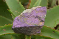 Natural Selected Purpurite Cobbed Specimens  x 6 From Namibia - TopRock