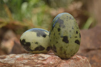 Polished Leopard stone Eggs x 12 From Zimbabwe - TopRock