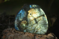 Polished Labradorite Standing Free Forms  x 6 From Madagascar