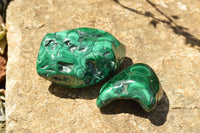 Polished Malachite Free Forms With Stunning Flower & Banding Patterns x 6 From Congo - TopRock