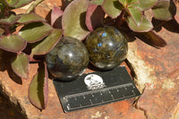 Polished Labradorite Spheres With Nice Subtle Flash x 7 From Tulear, Madagascar - TopRock