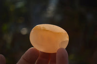 Polished Orange Twist Calcite Galets / Palm Stones x 12 From Maevantanana, Madagascar