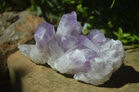 Natural Jacaranda Amethyst Clusters x 2 From Mumbwa, Zambia - TopRock