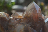 Natural Red Hematoid Quartz Specimen x 1 From Karoi, Zimbabwe