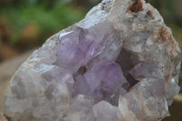 Natural Jacaranda Amethyst Cluster x 1 From Mumbwa, Zambia - TopRock