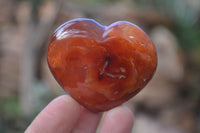 Polished Carnelian Agate Hearts  x 12 From Madagascar