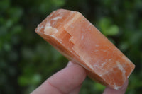 Natural New Sunset Orange Calcite Specimens  x 24 From Spitzkop, Namibia