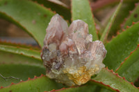 Natural Red Hematite Phantom Quartz Clusters  x 12 From Karoi, Zimbabwe - TopRock