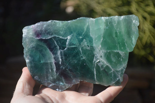 Polished Watermelon Fluorite Slices  x 2 From Uis, Namibia