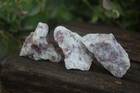 Polished Rough Rubellite Pink Tourmaline In Matrix Specimens  x 22 From Madagascar - Toprock Gemstones and Minerals 