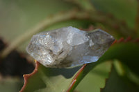 Natural Stunning Clear & Smokey Brandberg Quartz Crystals x 20 From Brandberg, Namibia