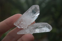 Natural Single Clear Quartz Crystals  x 1.8 Kg Lot From Mpika, Zambia - Toprock Gemstones and Minerals 