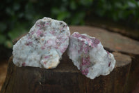 Polished Rough Rubellite Pink Tourmaline In Matrix Specimens  x 22 From Madagascar - Toprock Gemstones and Minerals 