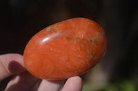 Polished Orange Twist Calcite Palm Stones  x 14 From Madagascar - Toprock Gemstones and Minerals 