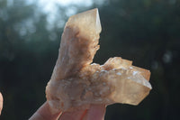 Natural Mixed Selection Of Quartz Specimens  x 6 From Southern Africa - Toprock Gemstones and Minerals 